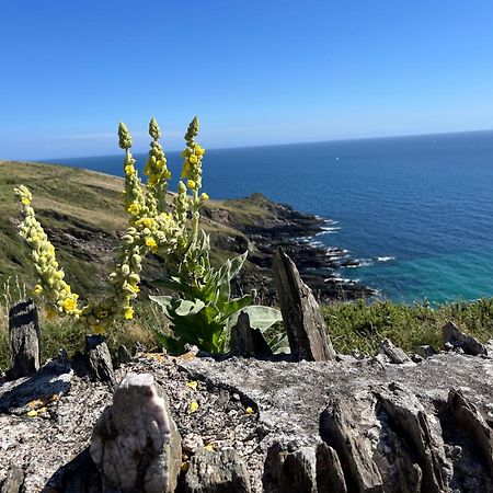 Pilchards Cottage Noss Mayo エクステリア 写真