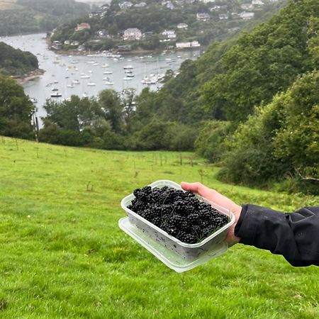 Pilchards Cottage Noss Mayo エクステリア 写真